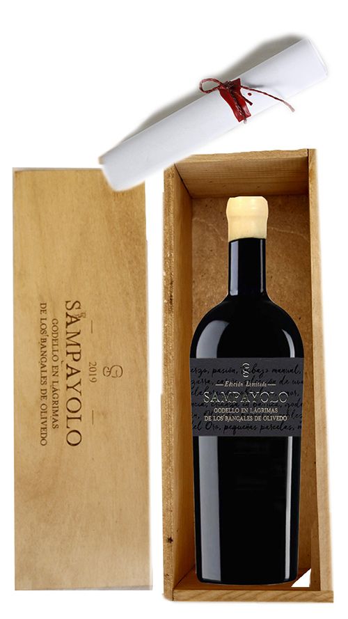 Magnun 1,5L Godello en lágrimas de los bancales de Olivedo