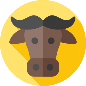 Carne bovina maridar carnes