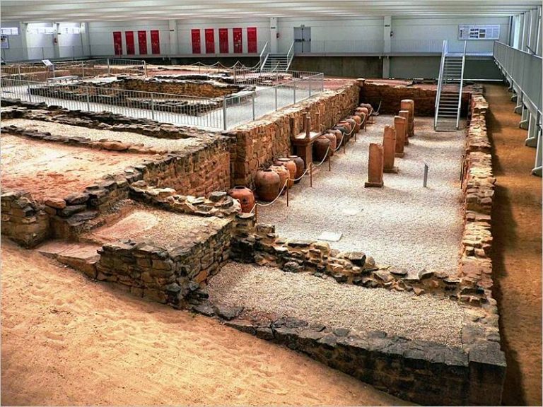 Orígenes del vino servir un buen vino