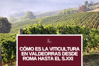 Cómo es la viticultura en Valdeorras desde Roma hasta el siglo XXI viticultura valdeorras