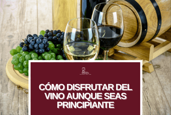 Cómo disfrutar del vino aunque seas principiante
