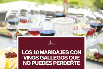 Maridajes de Vinos de Galicia