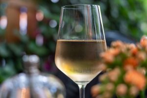 vino para principiante