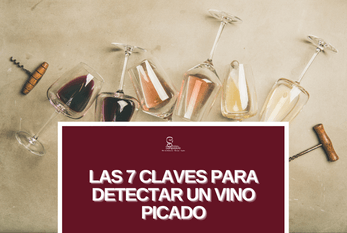 Las 7 Claves para detectar un vino picado