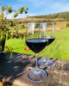 beneficios del vino tinto