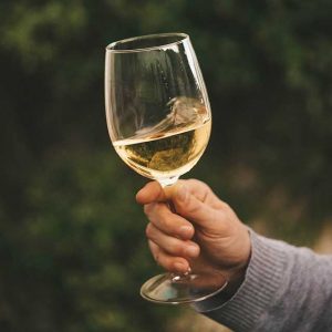 peligroso consumir un vino picado