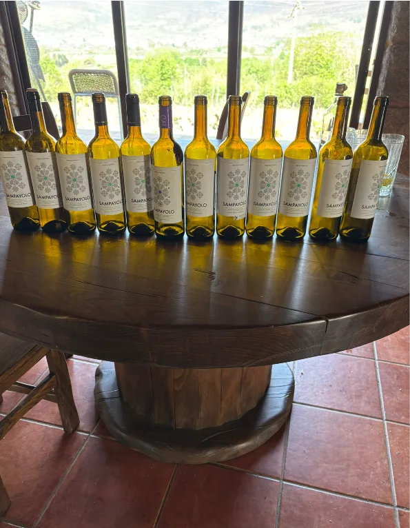 Botellas de Godello Sampayolo tras una cata, con el viñedo de Valdeorras al fondo