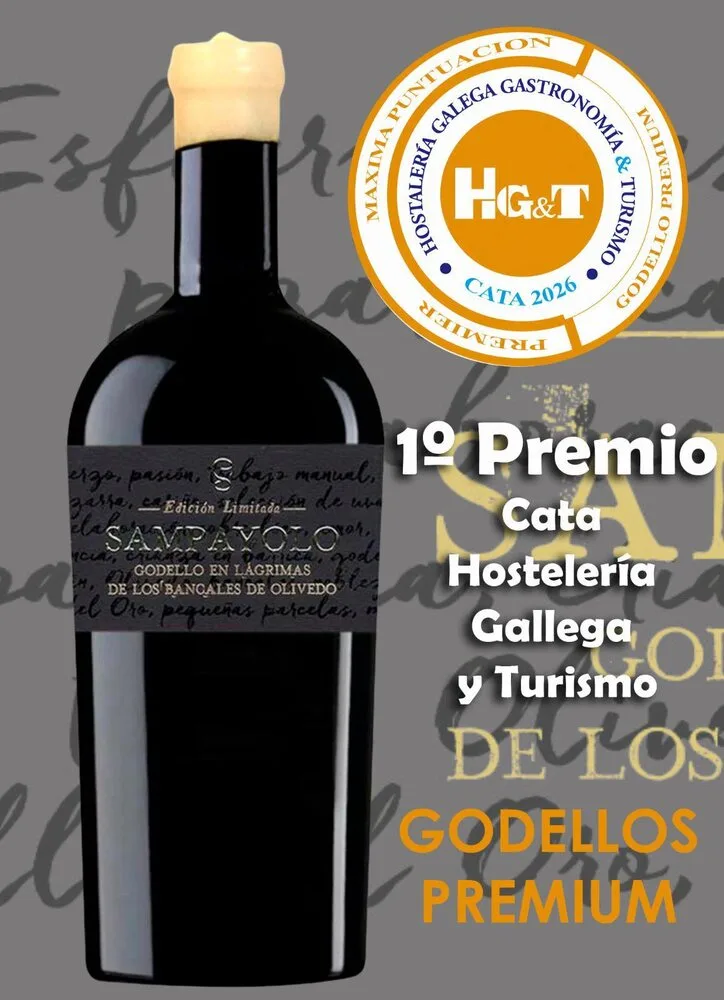 1º Premio Cata HG&T 2026 — Godello en Lágrimas de Olivedo